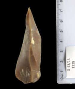 where have the earliest human fossils been found in africa